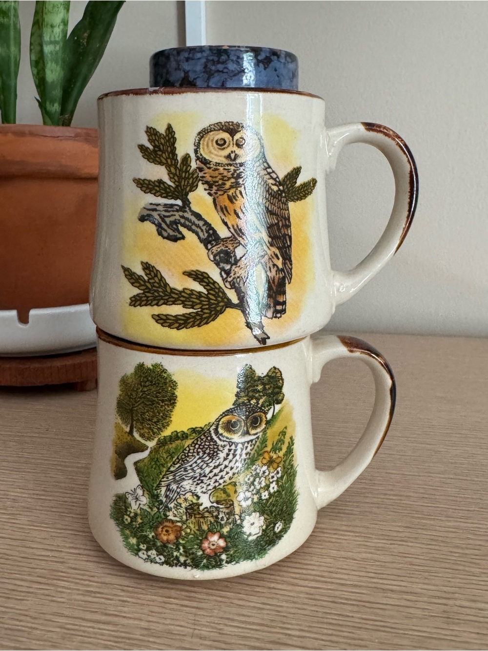 Vintage Owl Ceramic Mugs